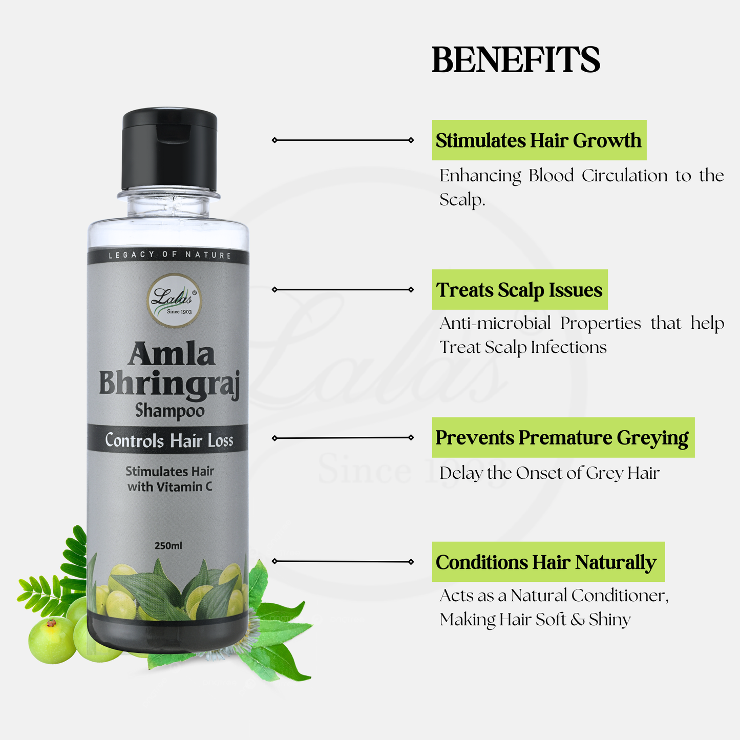 Amla Bhringraj Shampoo