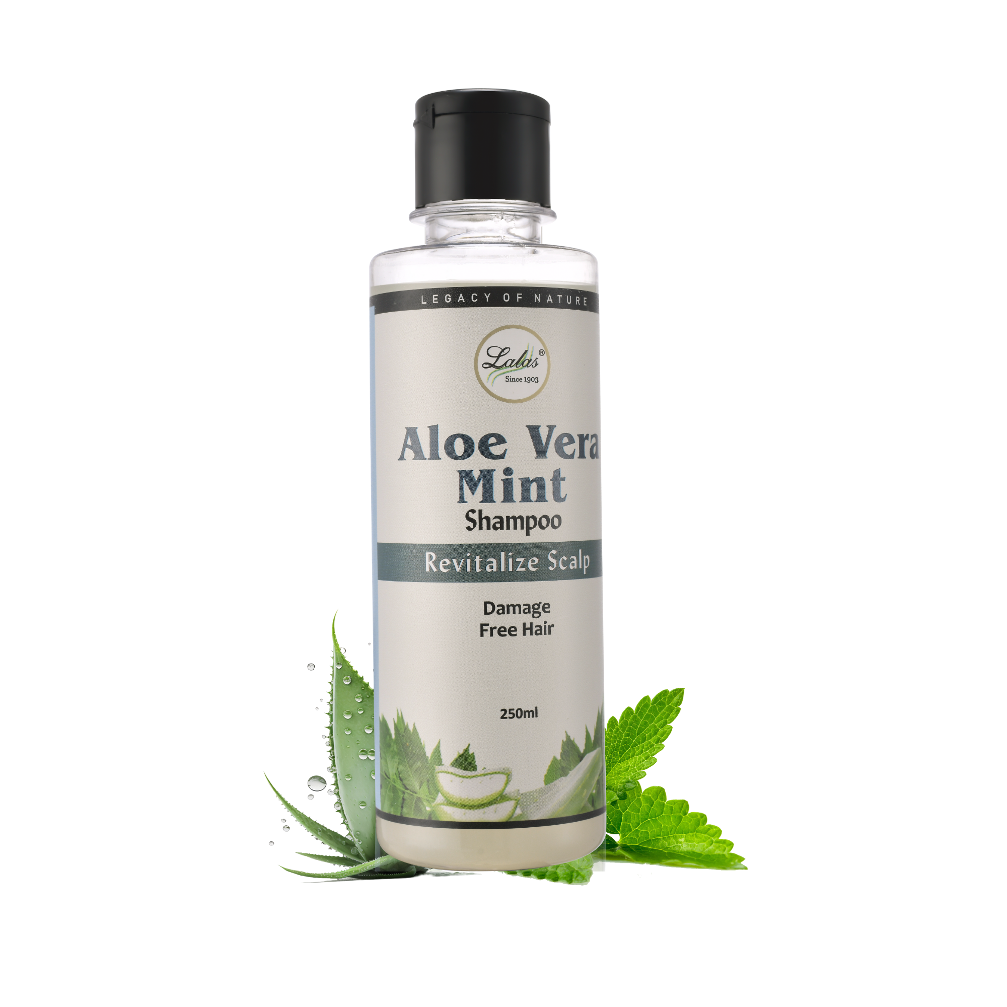 less is more aloe mint volume shampoo Aloe Vera Mint Shampoo – Lalas Herbal