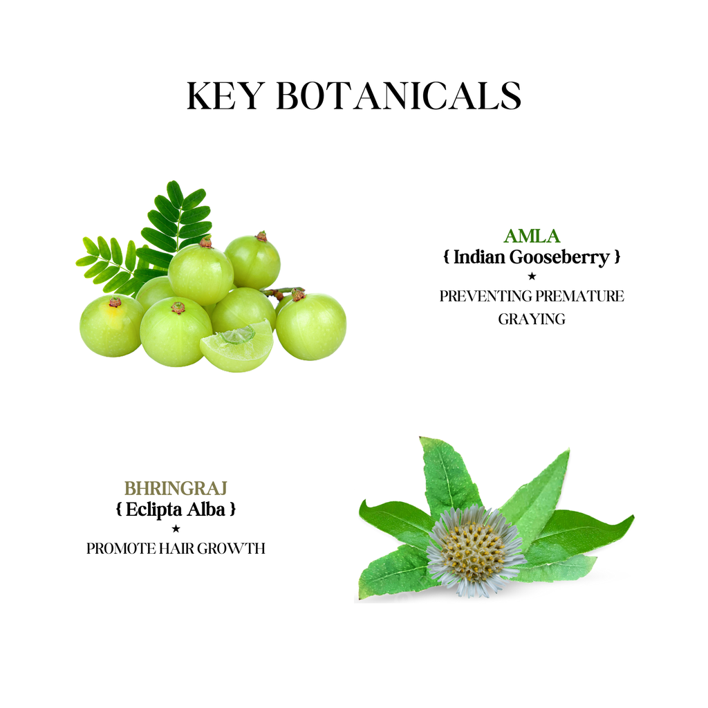 Amla Bhringraj Shampoo