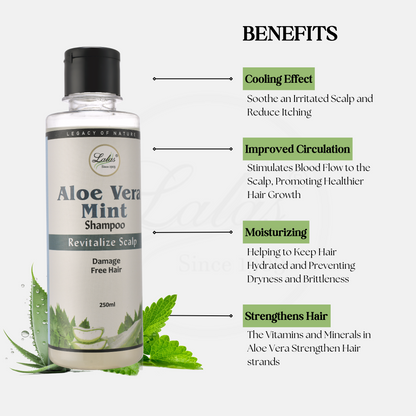 Aloe Vera Mint Shampoo