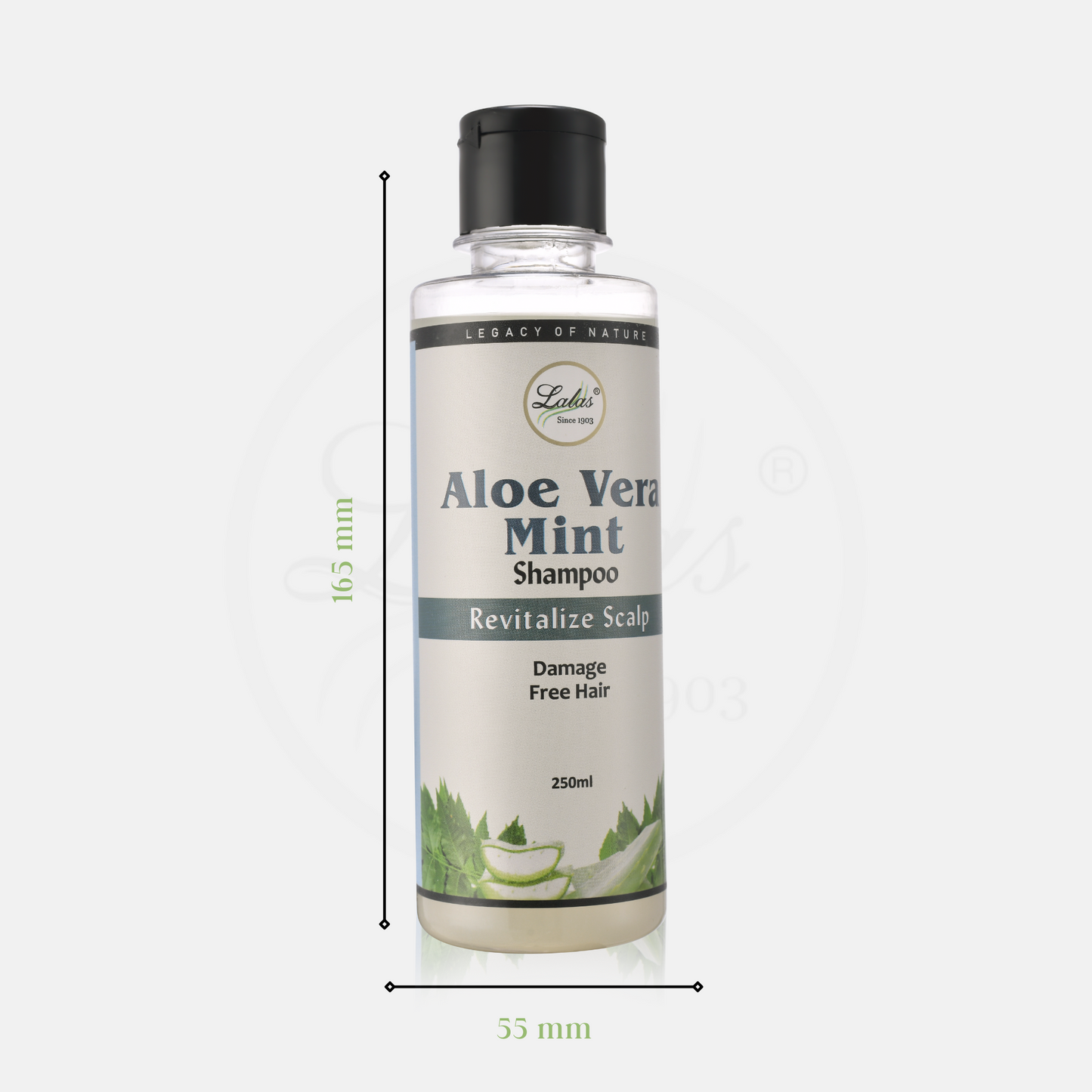 Aloe Vera Mint Shampoo