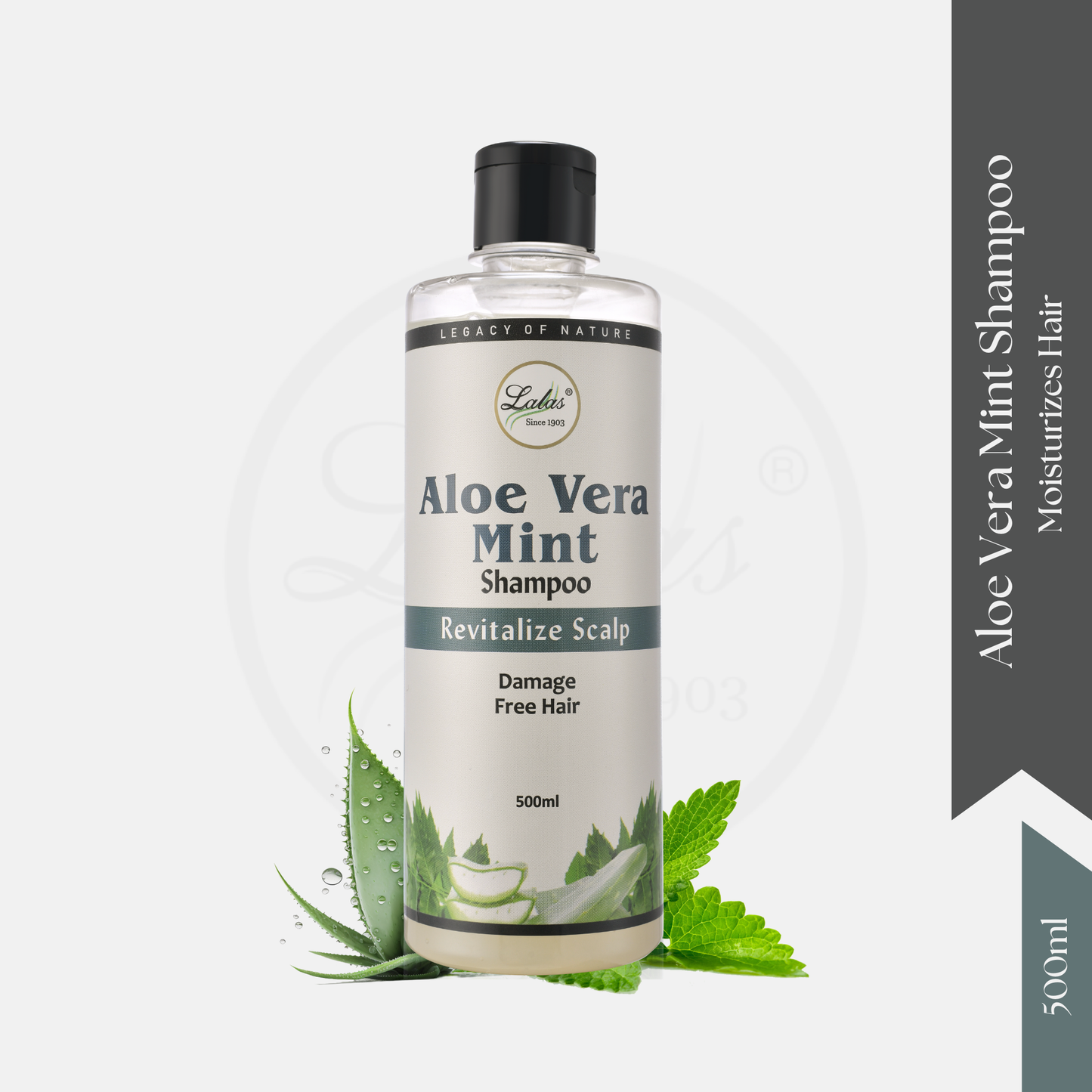 Aloe Vera Mint Shampoo