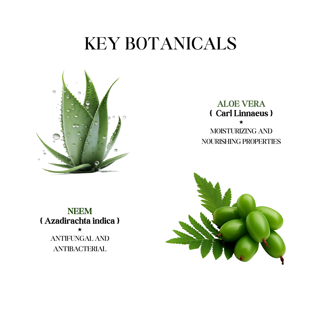 Aloe Vera Neem Shampoo