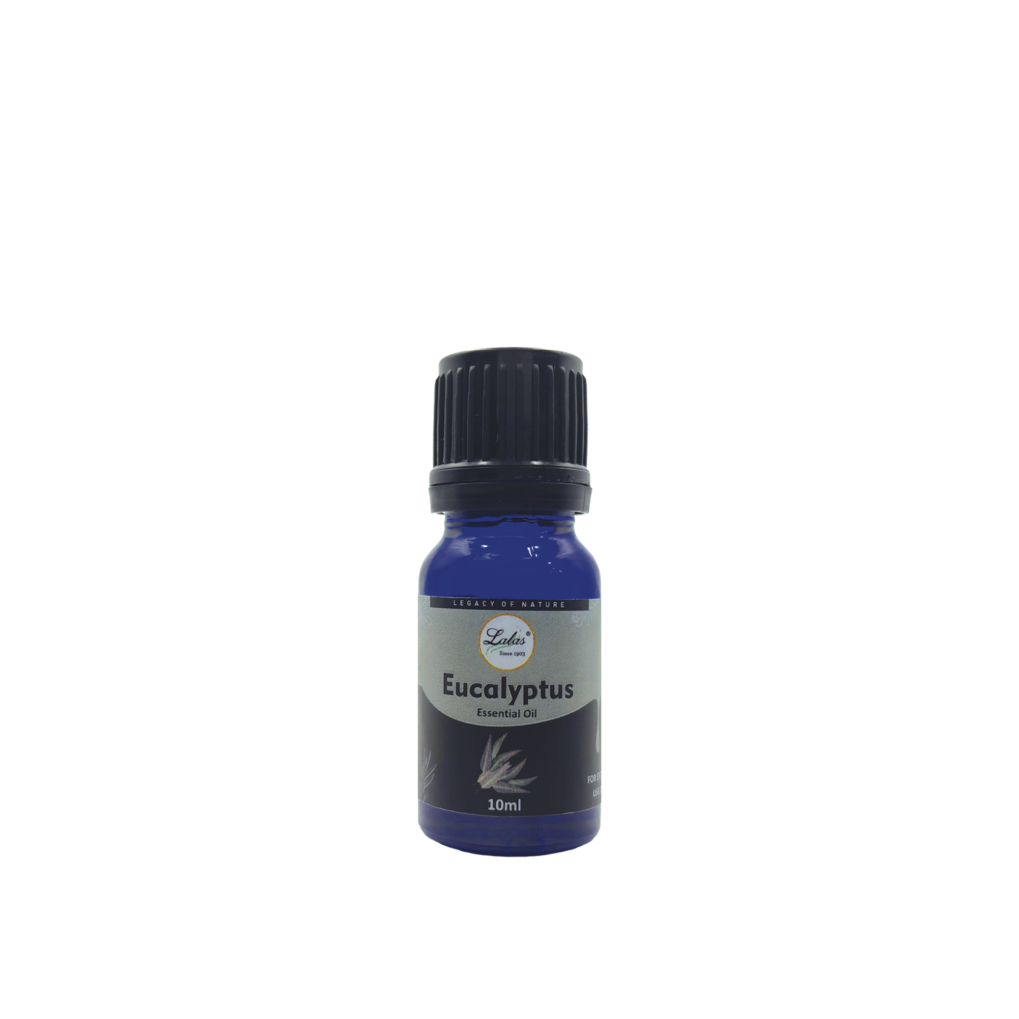 Eucalyptus Essential Oil