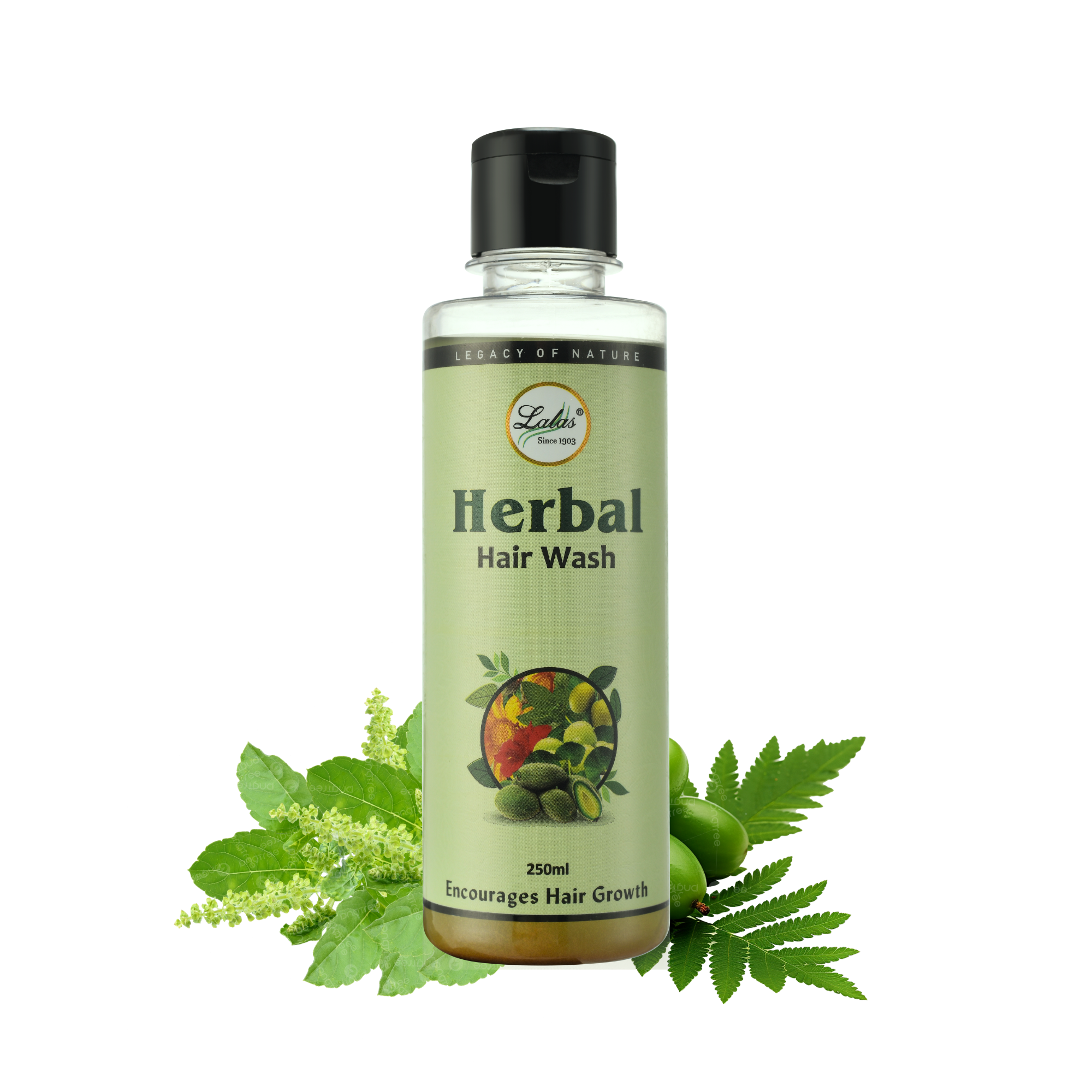 Herbal Hair Wash