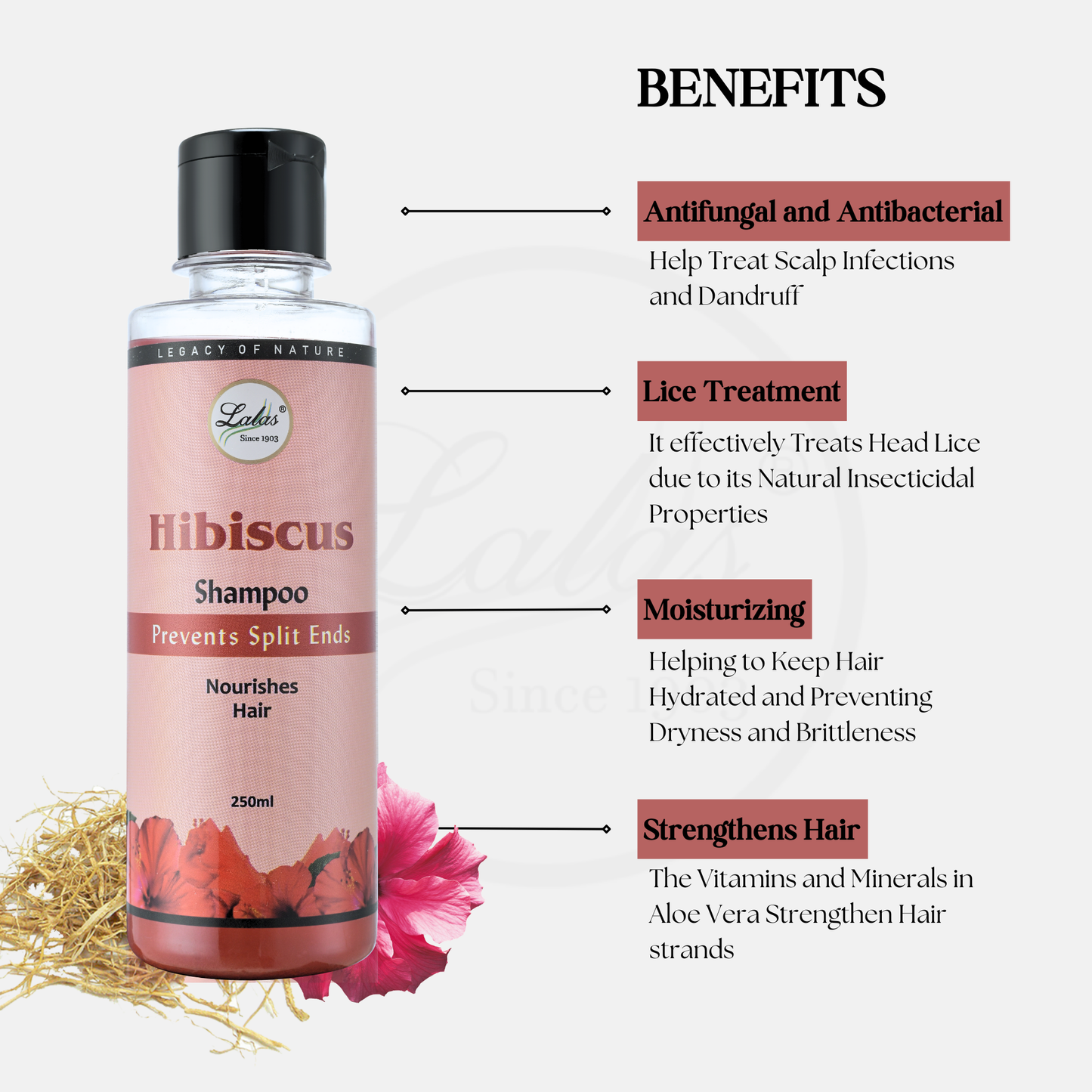 Hibiscus Shampoo