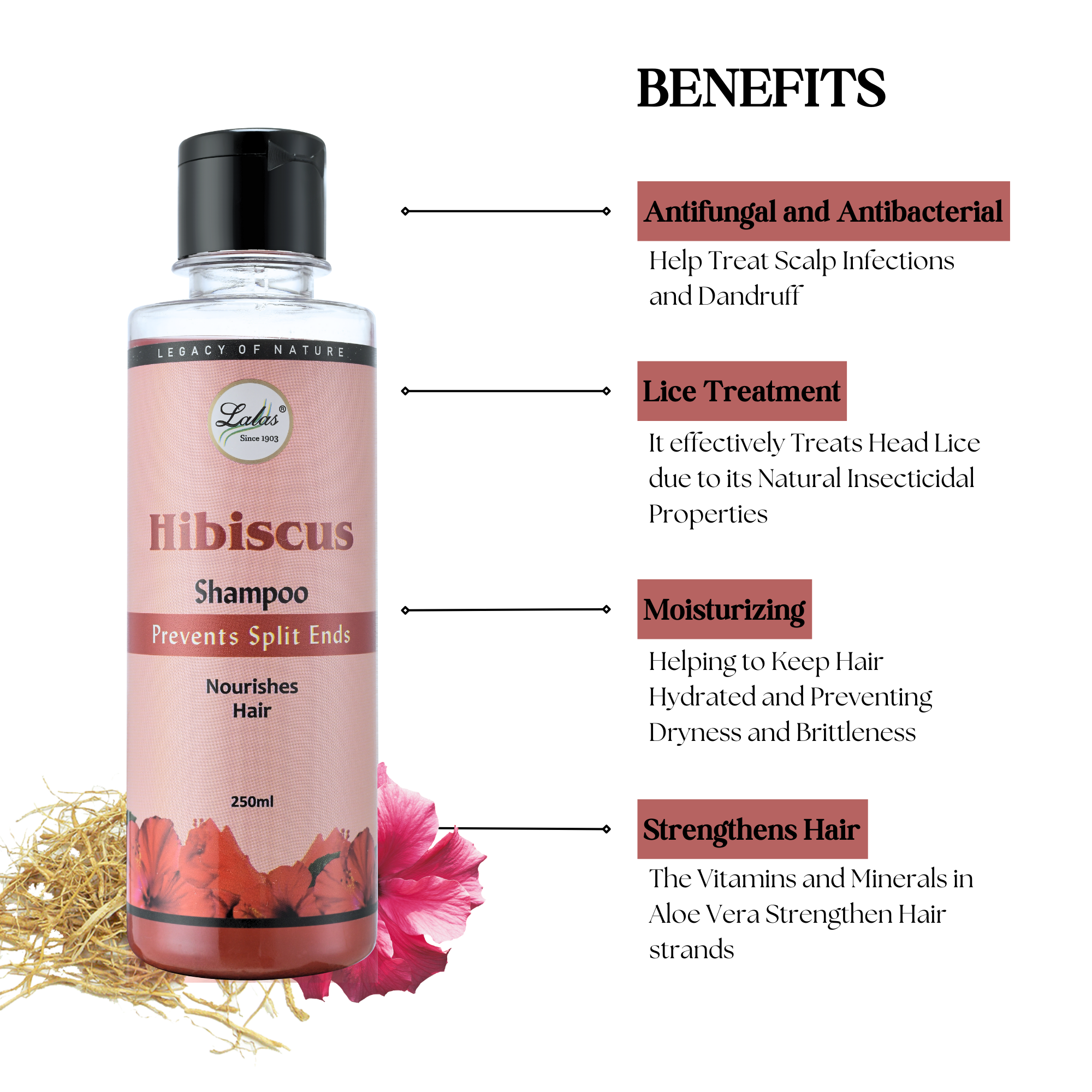 Hibiscus Shampoo
