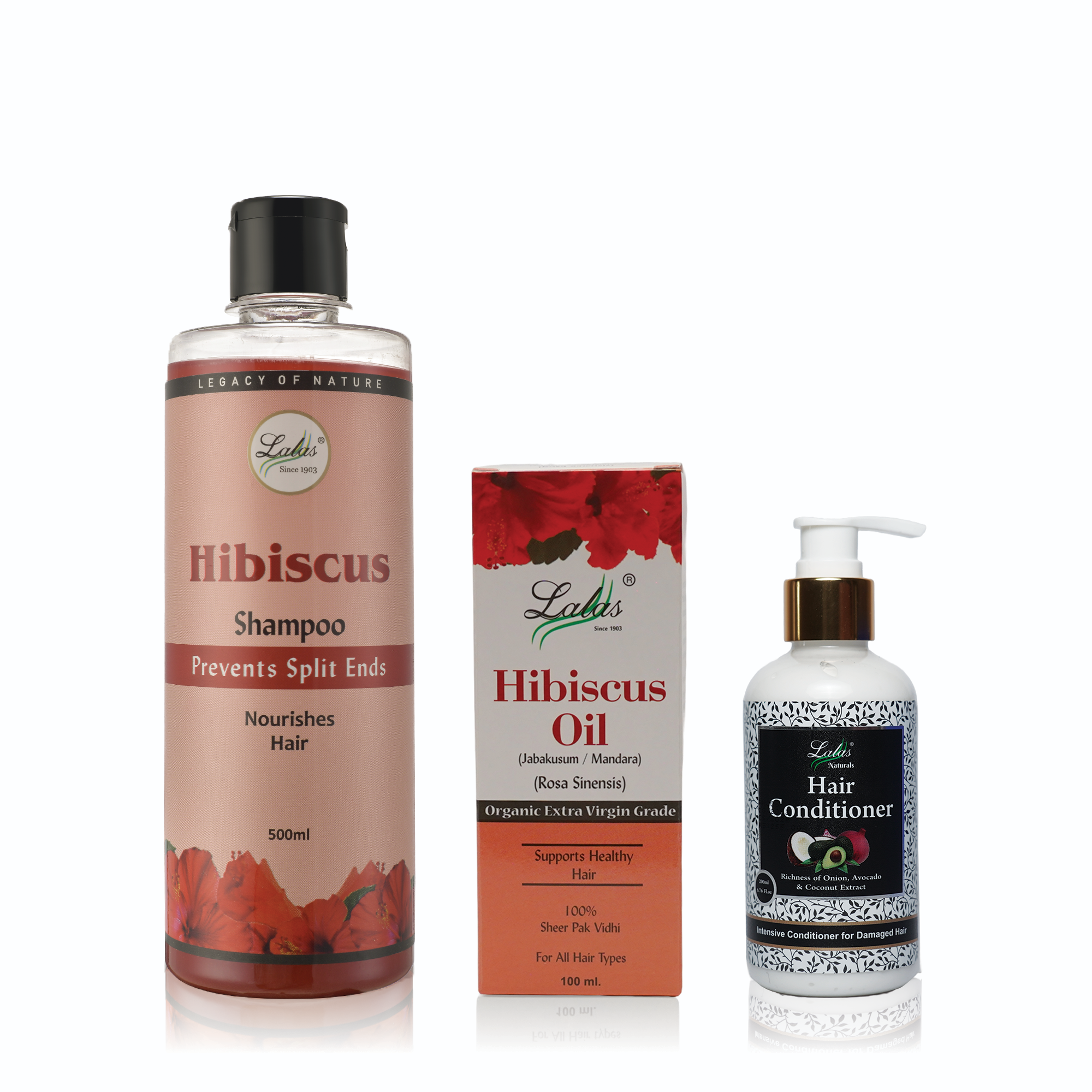 The Red Hibiscus Therapy