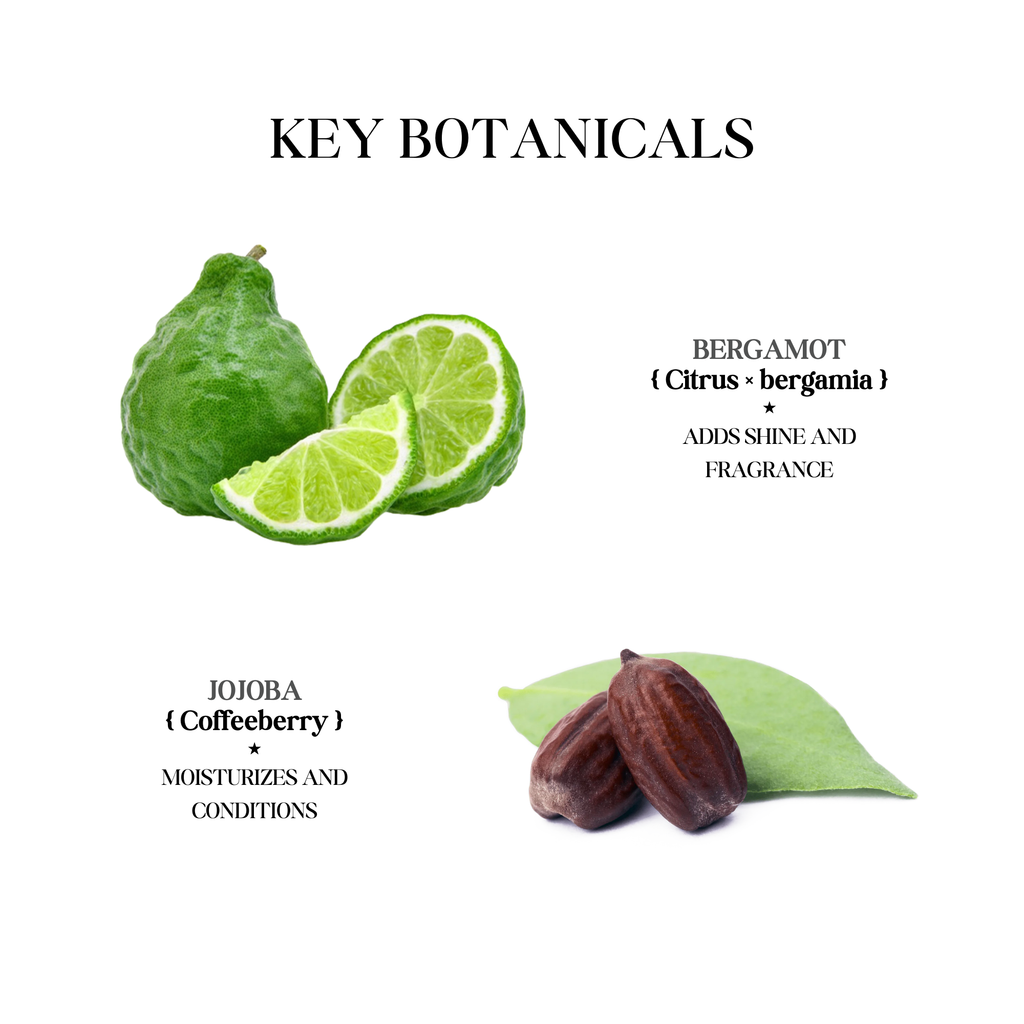 Moisturizing Body Wash