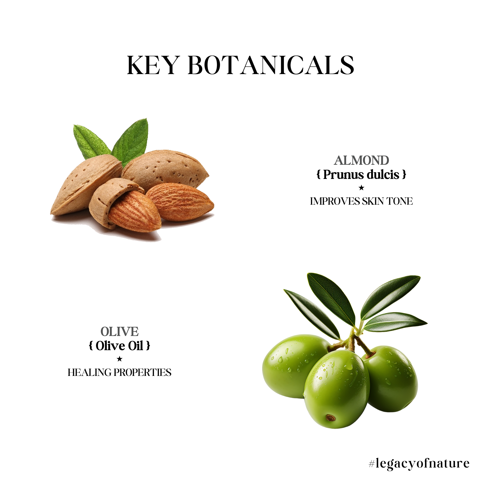 Moisturizing Body Lotion