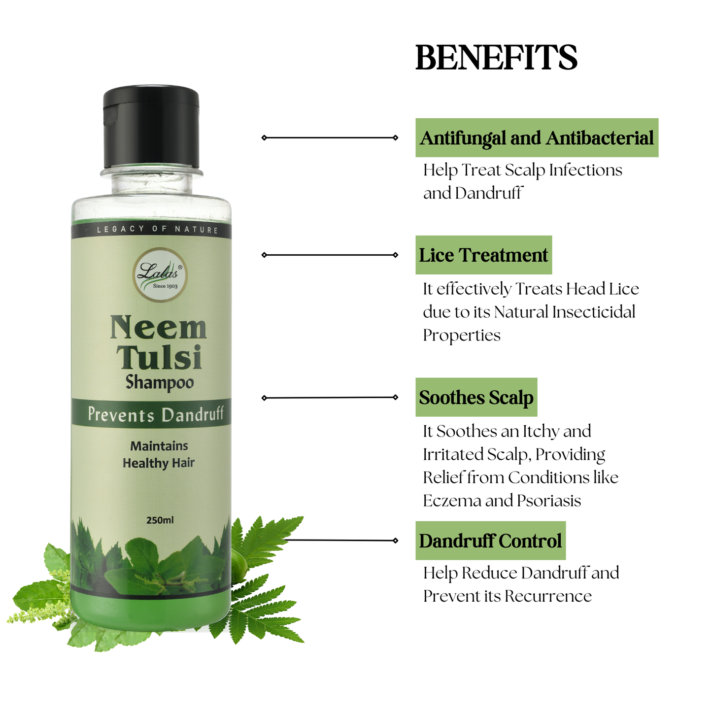 Neem Tulsi Shampoo