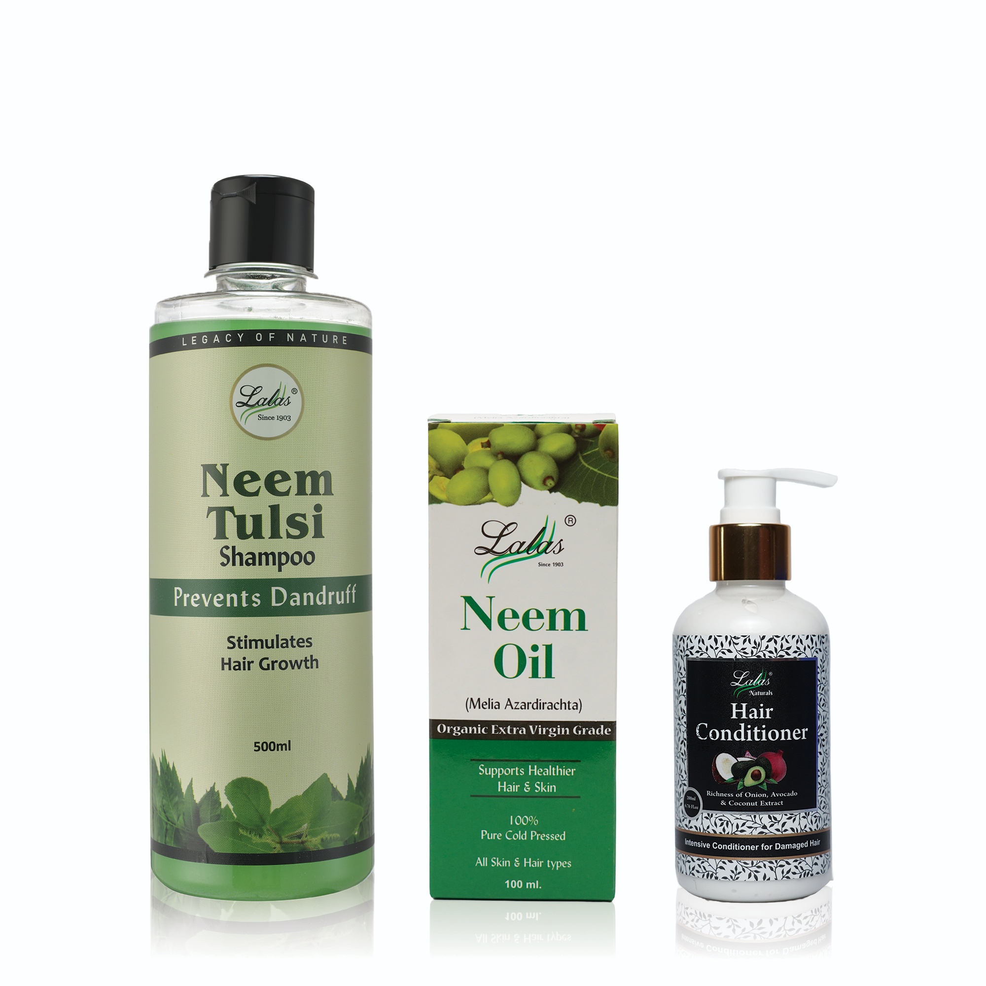 The Ultimate Scalp Detox Edit