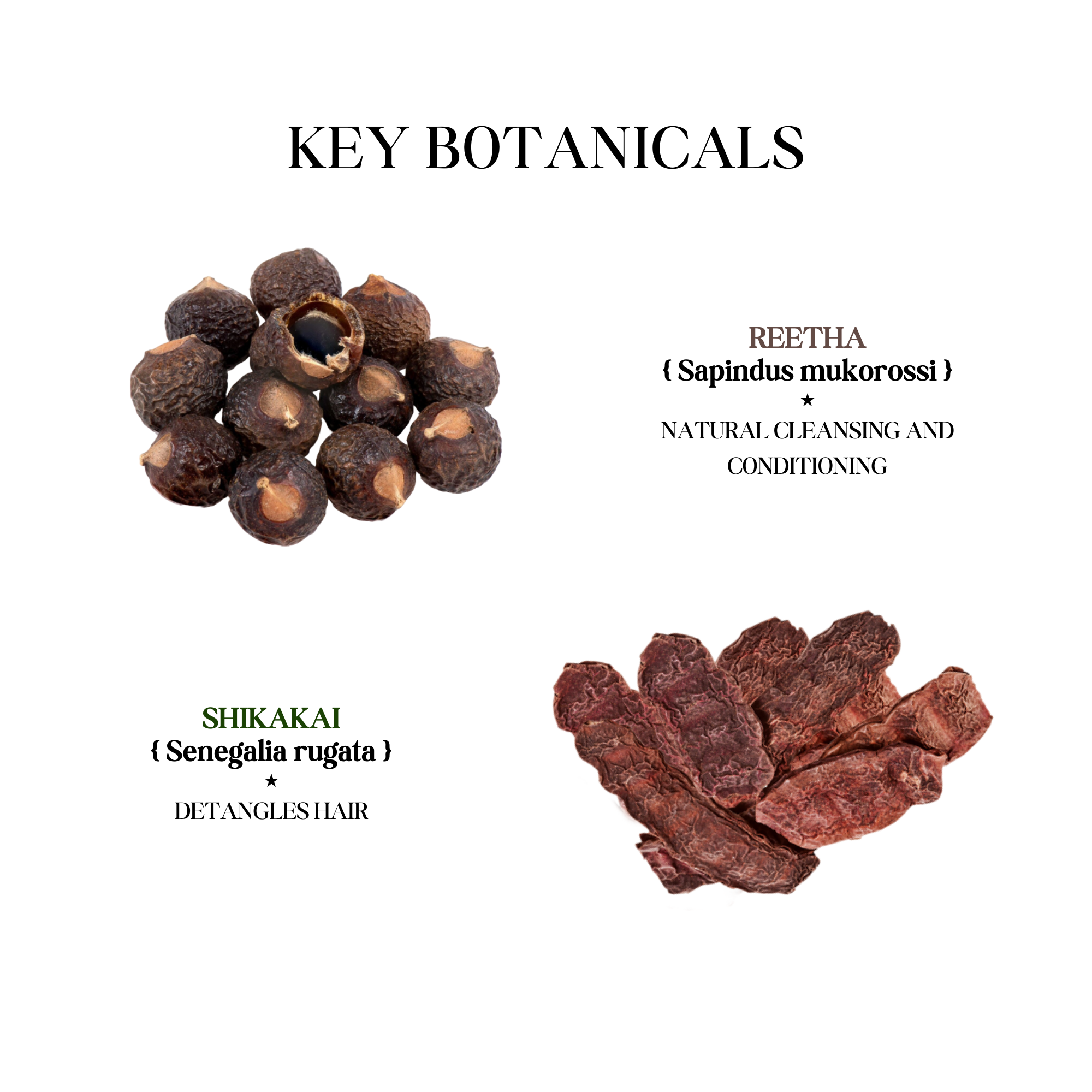 Reetha Shikakai Shampoo