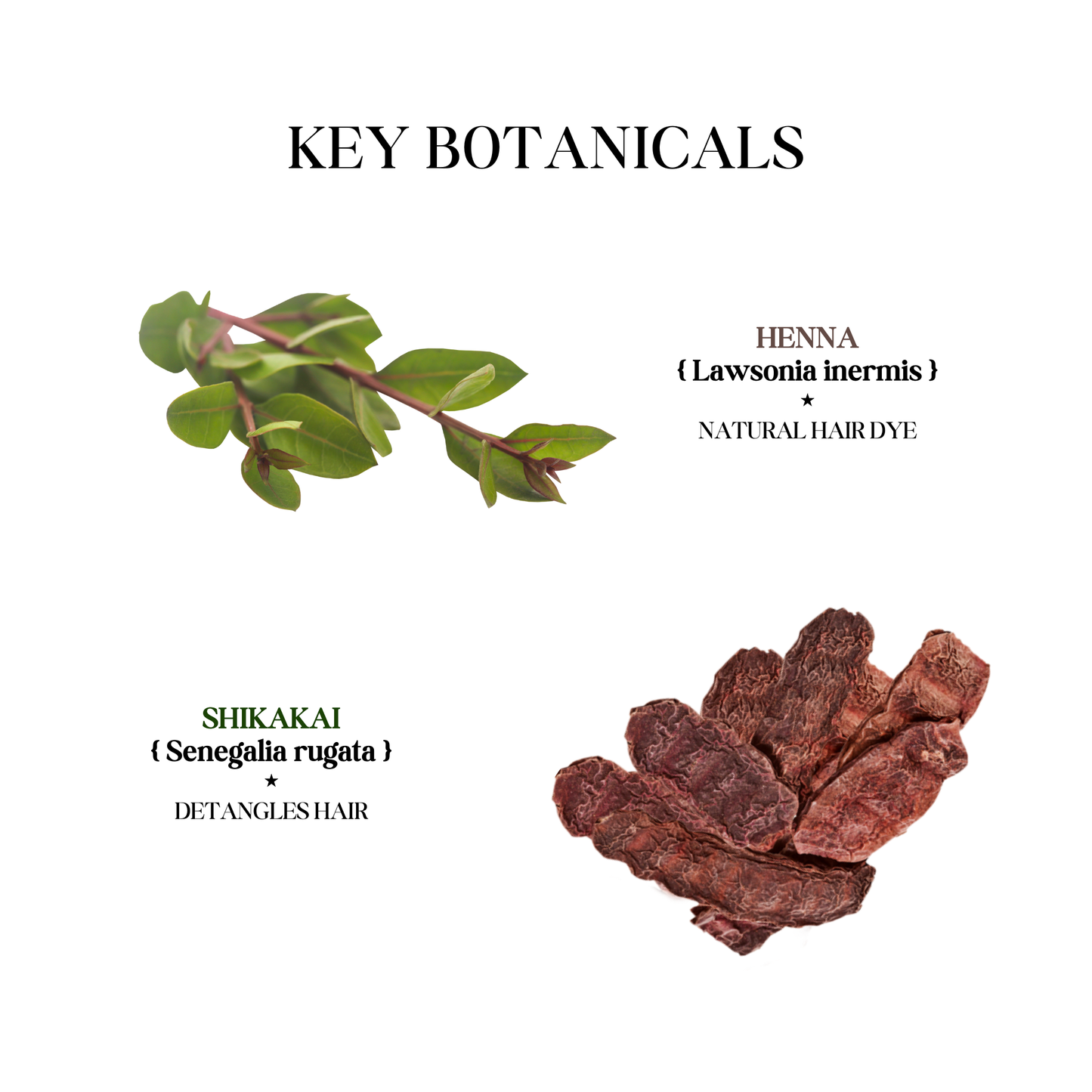 Shikakai Henna Shampoo
