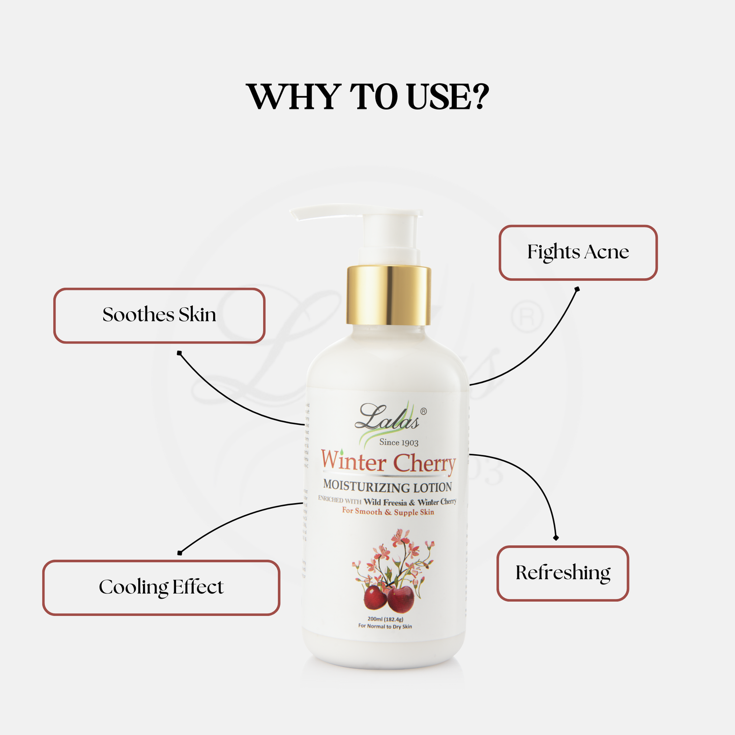 Winter Cherry Lotion