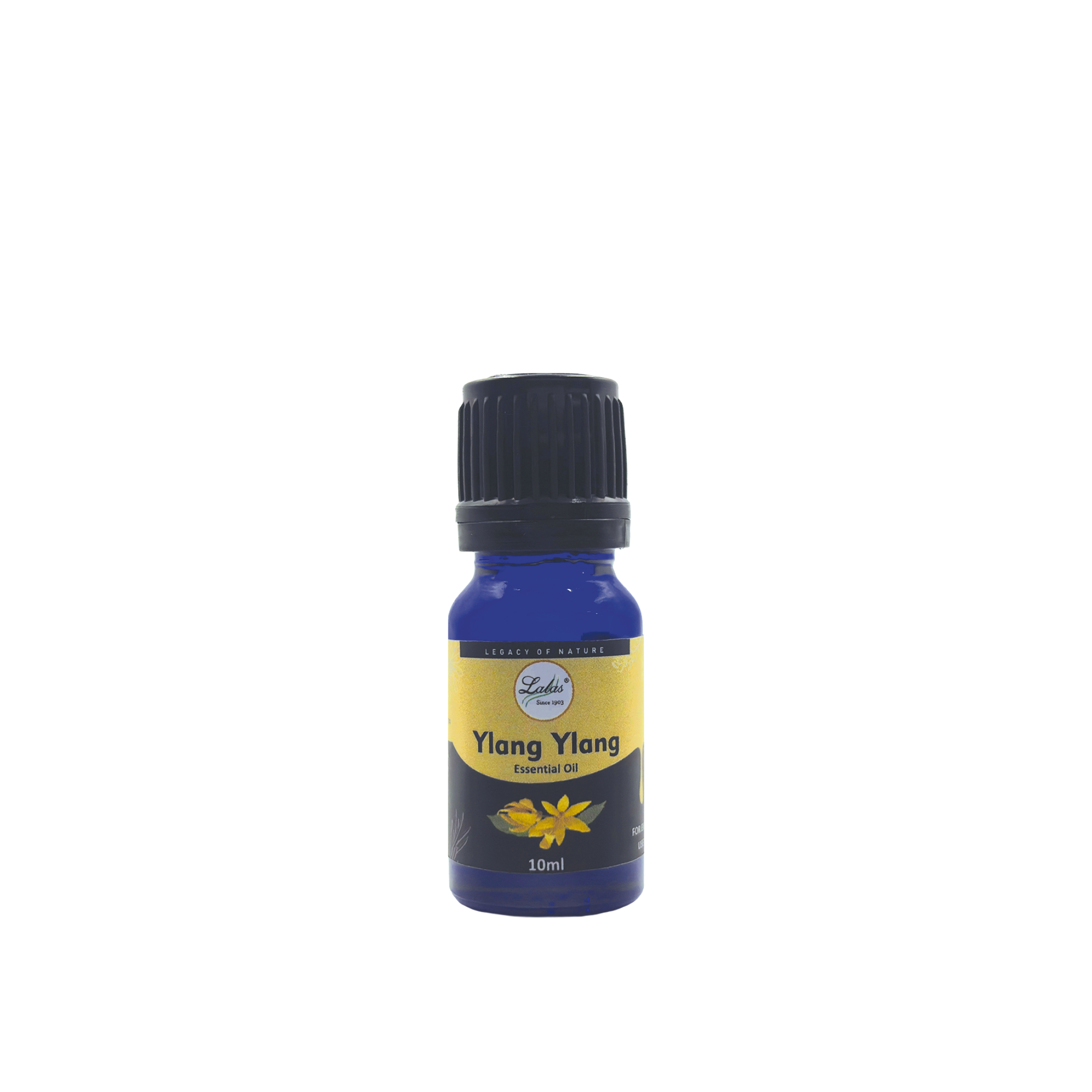 Ylang Ylang Essential Oil
